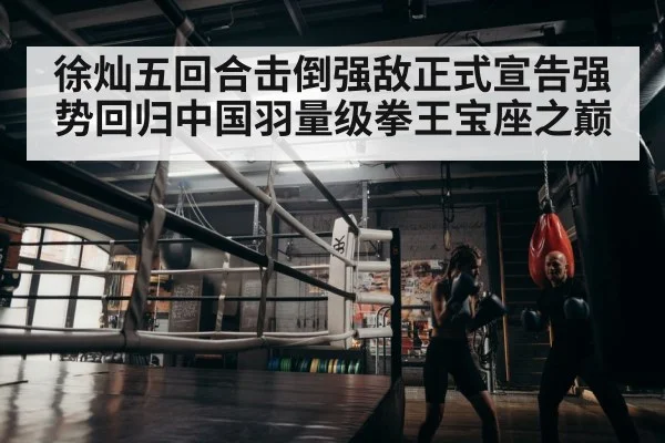 徐灿五回合击倒强敌正式宣告强势回归中国羽量级拳王宝座之巅