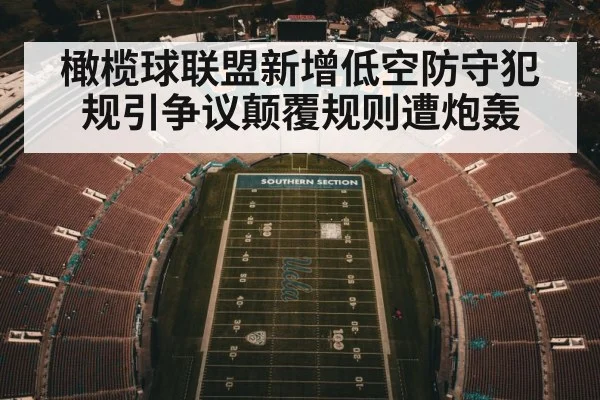 橄榄球联盟新增低空防守犯规引争议颠覆规则遭炮轰